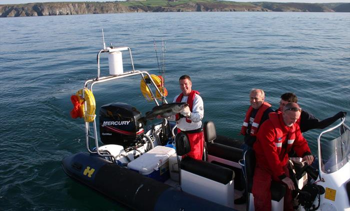 Dolphin Survey Boat Trips, Mid Wales Coast